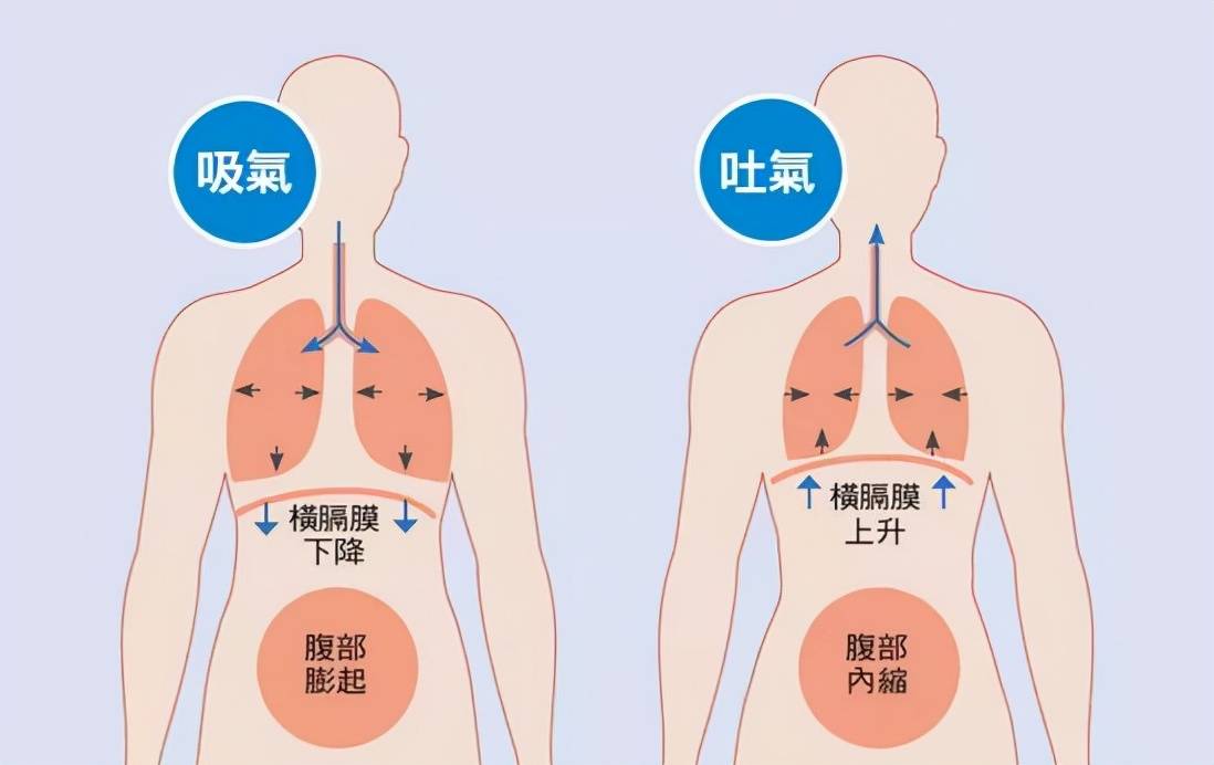 刀塔传奇红龙_刀塔双头龙出装_刀塔传奇双头龙技能加点