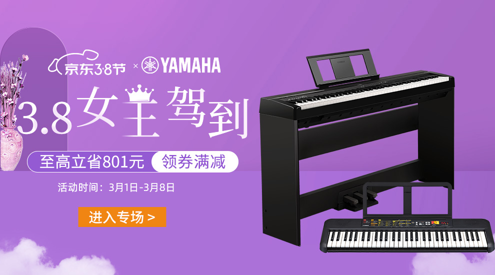 电子琴键盘多少钱_电子键钢琴一般多少钱_双键盘电子琴价格