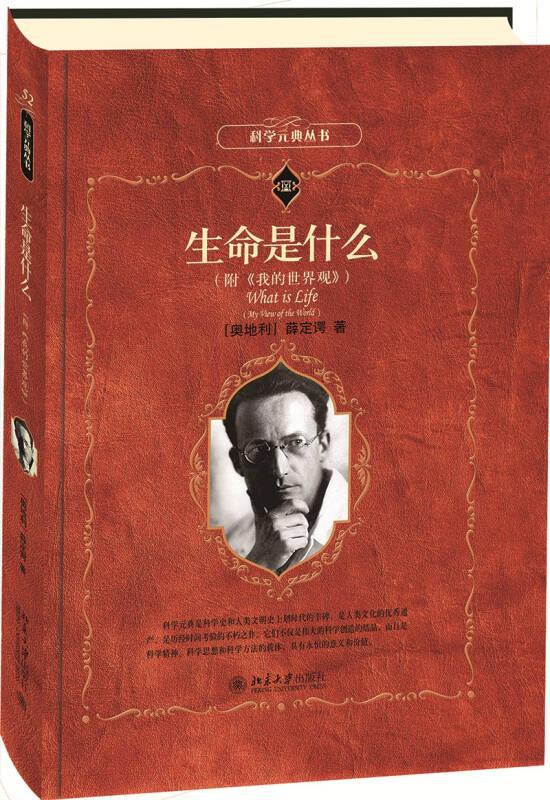2020.2.3生命方舟_生命方舟小游戏攻略_生命方舟小游戏