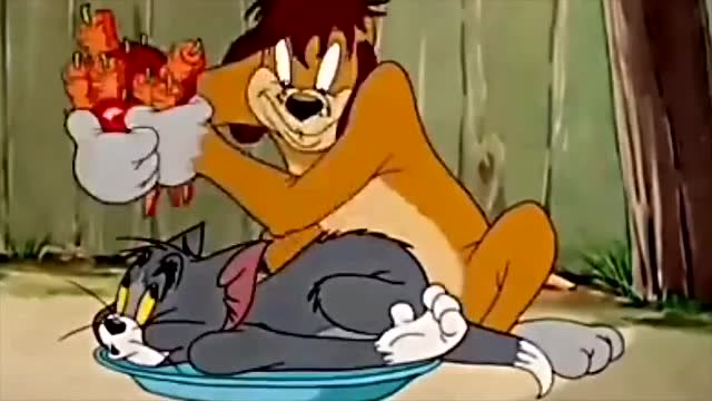 老猫老鼠_老鼠猫_猫和老鼠61集
