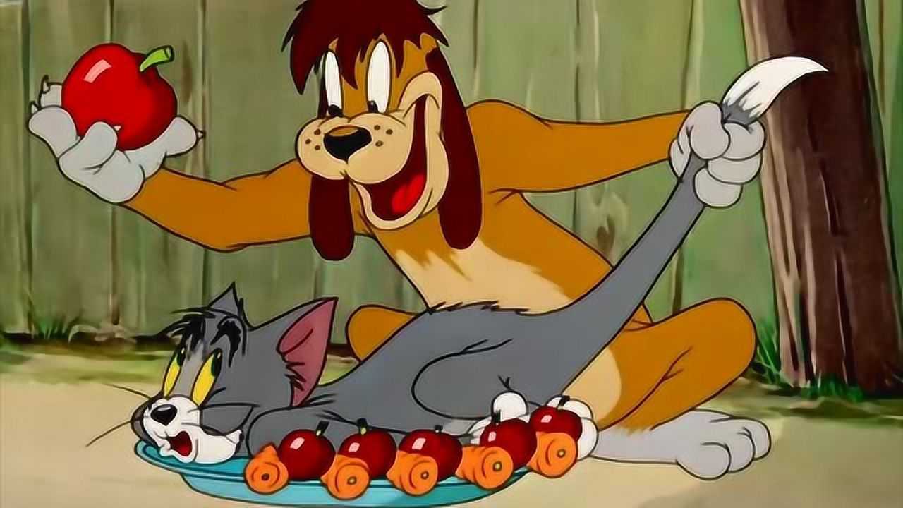 老猫老鼠_猫和老鼠61集_老鼠猫