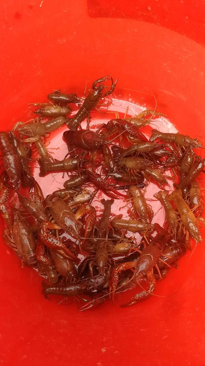 心游之域论坛：情感的港湾，心灵自由游弋的海洋