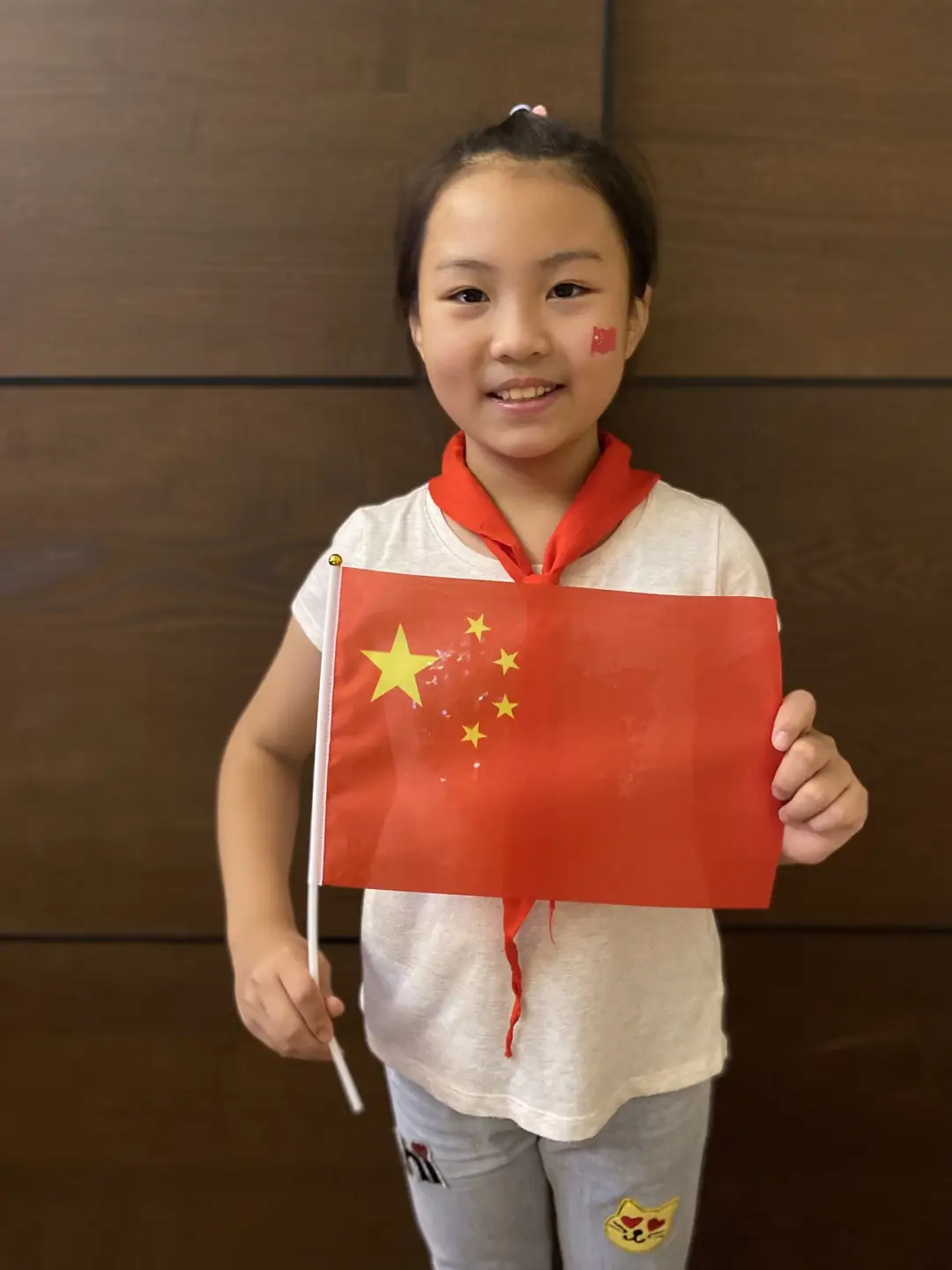 不认识国旗_国旗认识下载_国旗认识图片大全