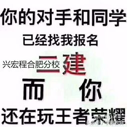 通关成功动态度,通关成功，动态度成就非凡时刻