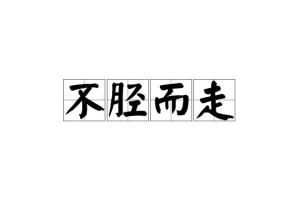 不胫而走
