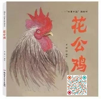 花公鸡游戏,趣味盎然的互动体验之旅