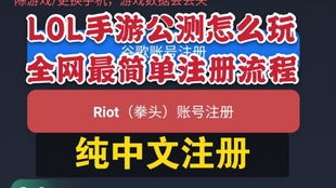 拳头游戏id,揭秘拳头游戏ID背后的英雄传奇