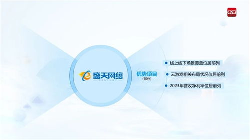 服务游戏业务,服务游戏业务的创新与未来展望